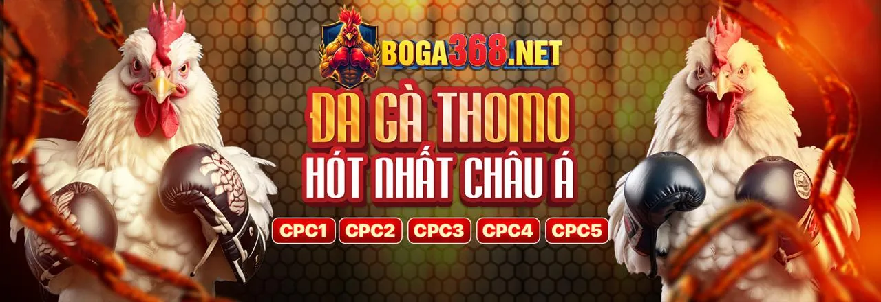 Đá Gà Trực Tuyến Hàng Đầu VT88