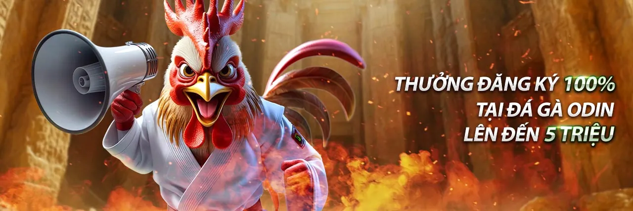 Hình ảnh minh họa vt88 tuân thủ GDPR, bảo vệ dữ liệu cá nhân